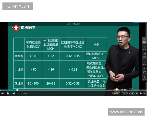哈茨队面临苏超魔鬼赛程考验板凳深度将成关键因素